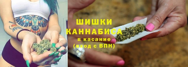 шишки Абинск