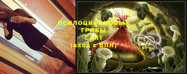 прущие грибы Покровск