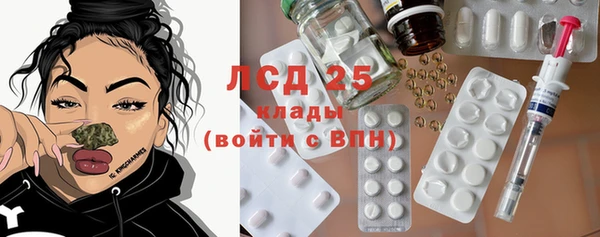 шишки Абинск